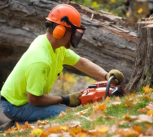 tree services Kirksville